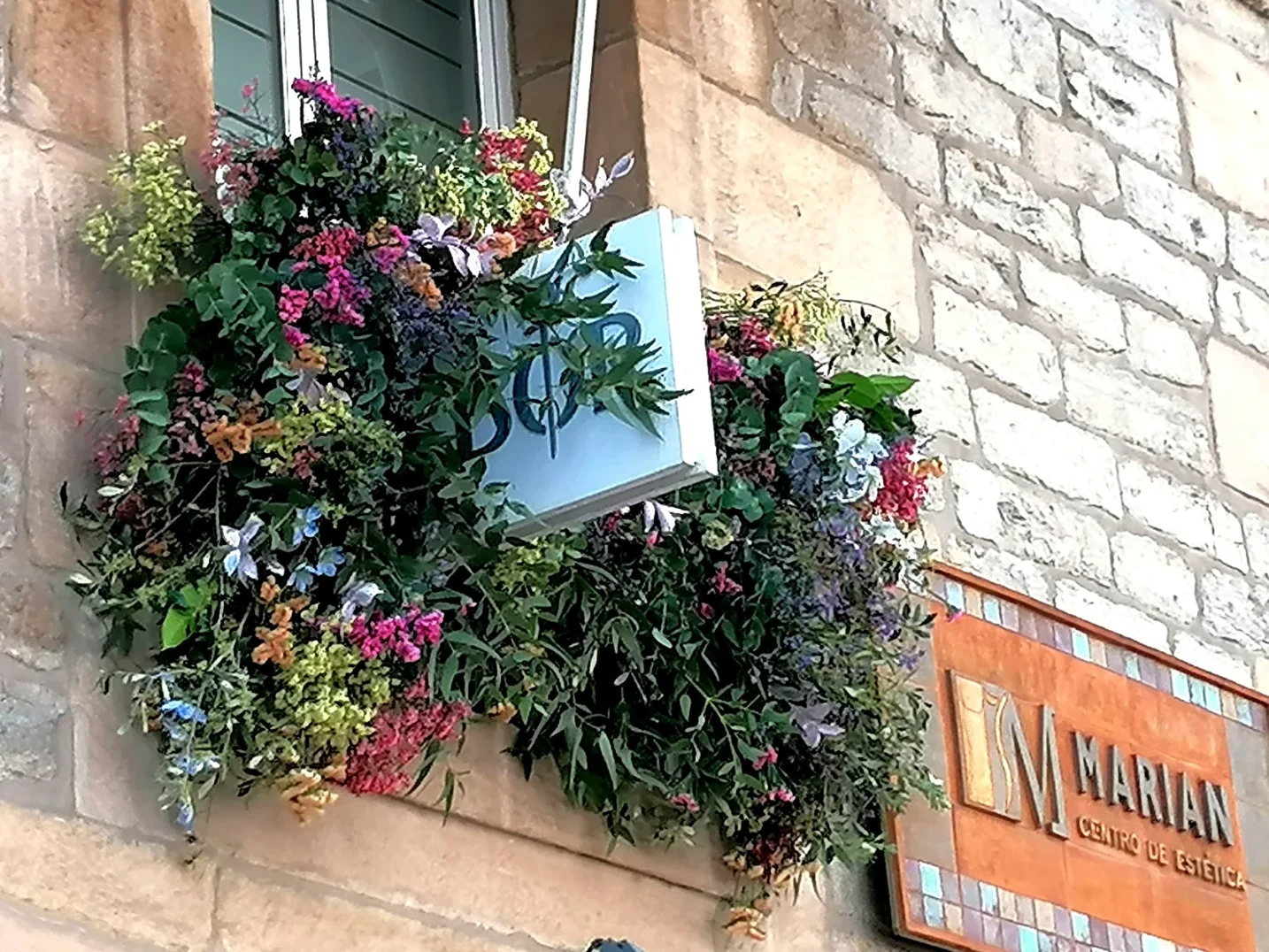 producto de Eguzkilore floristería